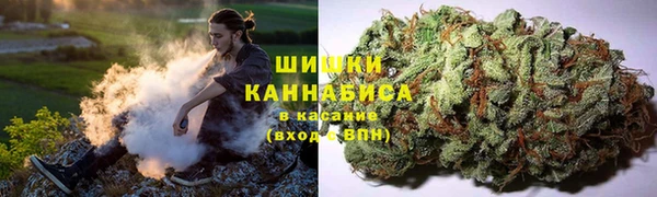 spice Осташков
