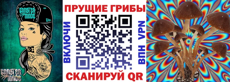 Галлюциногенные грибы GOLDEN TEACHER  Советская Гавань 