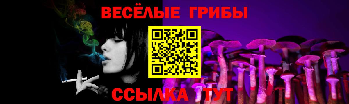 Псилоцибиновые грибы GOLDEN TEACHER  Вход с VPN  Советская Гавань 