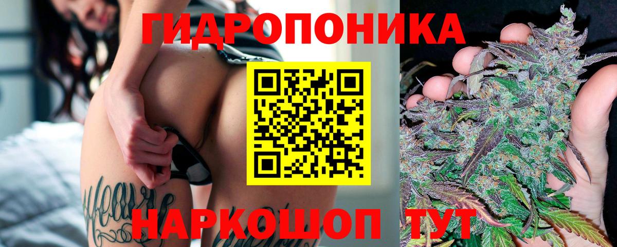 Конопля планчик Советская Гавань
